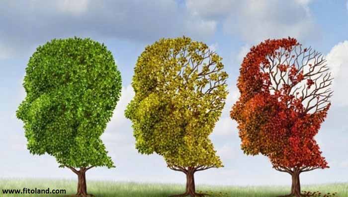 بیماری آلزایمر و راه‌های درمان آلزایمر