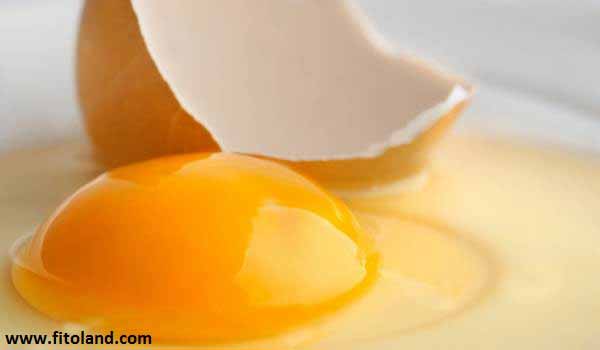 مواد مغذی موجود در تخم مرغ
