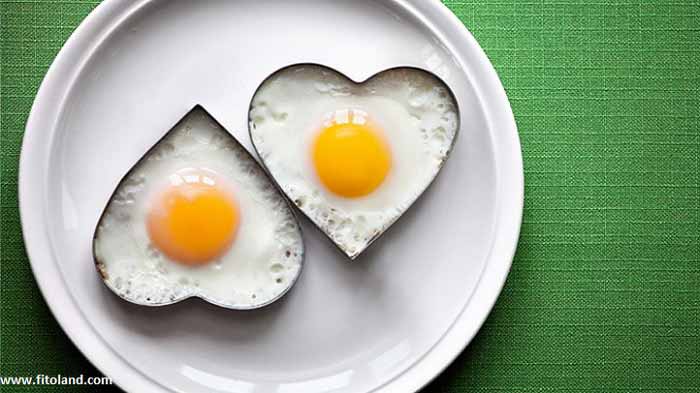 آیا خوردن تخم مرغ باعث افزایش کلسترول و بیماری قلبی و عروقی می شود؟
