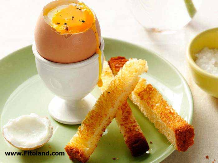 Food For Fitness Egg