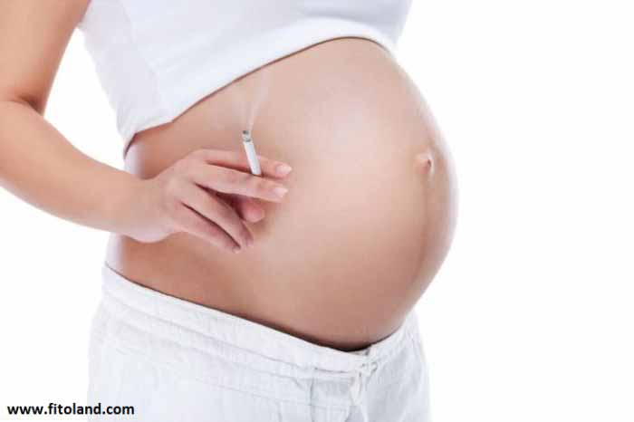 مکمل‌های دوران بارداری اسیدفولیک روی