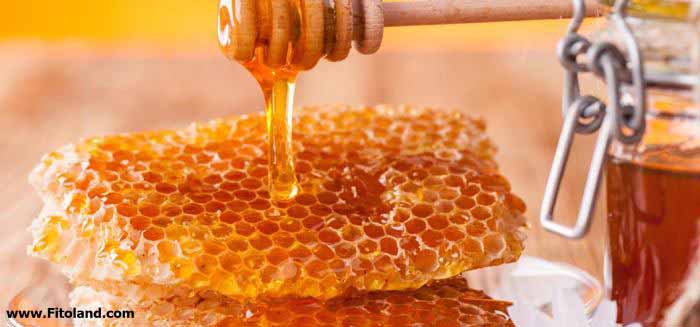 خرید عسل طبیعی
