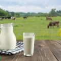 روز جهانی شیر و اهمیت مصرف شیر