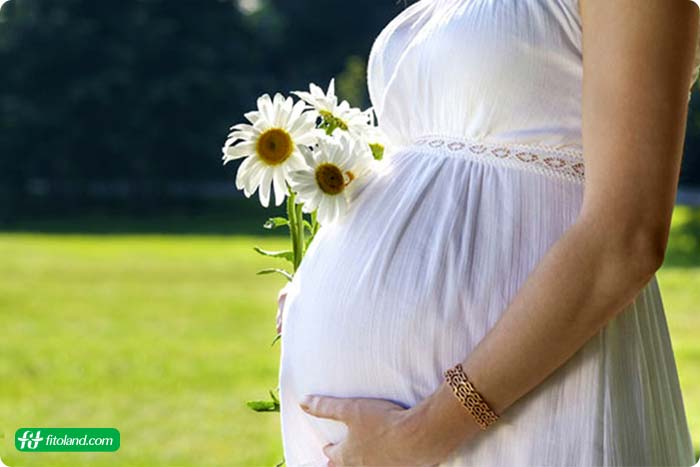 مراقبت‌های دوران بارداری در سه ماهه‌‌ سوم