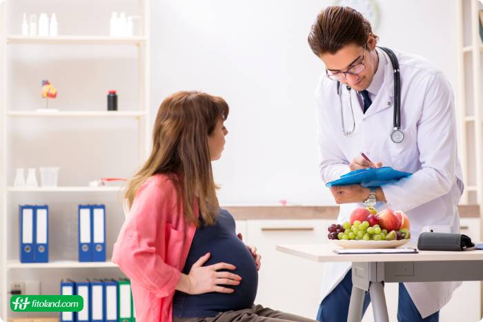 برنامه رژیم غذایی دوران بارداری