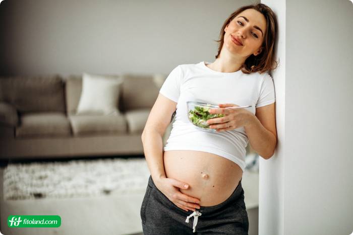 برنامه رژیم غذایی دوران بارداری