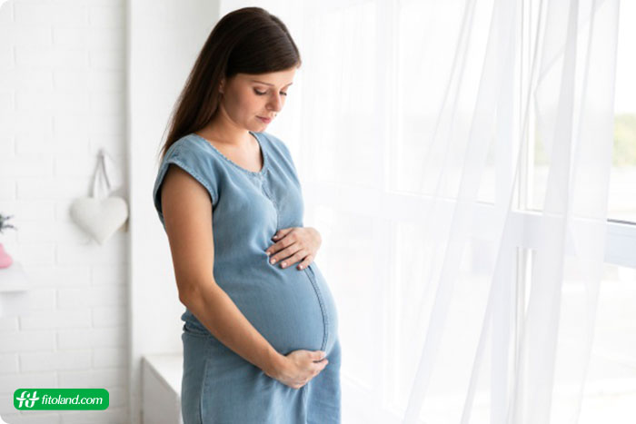 میزان افزایش وزن در دوران بارداری