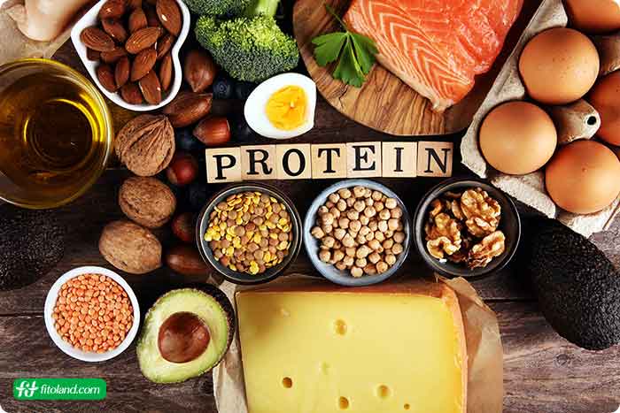 نقش پروتئین در رژیم غذایی سالم برای نوجوانان