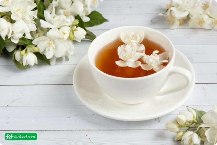 چای گیاهی در برنامه رژیم غذایی سالم برای لاغری