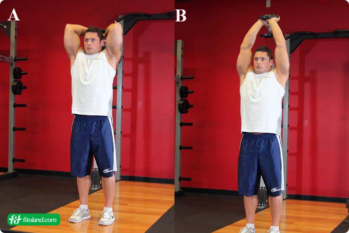 حرکت پشت بازو دمبل تک جفت دست Standing Dumbbell Triceps-Extension