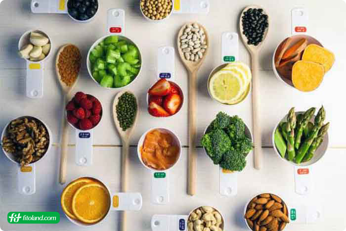 میزان درشت مغذی ها در برنامه غذایی فیتنس مدلینگ